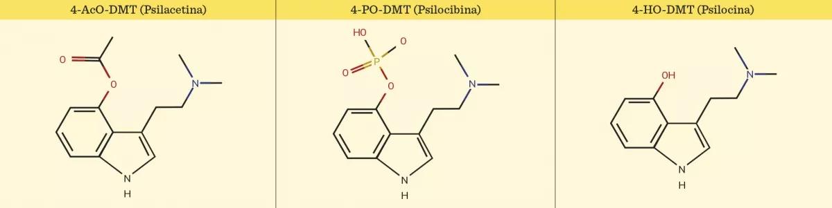 Estructura de las distintas moléculas