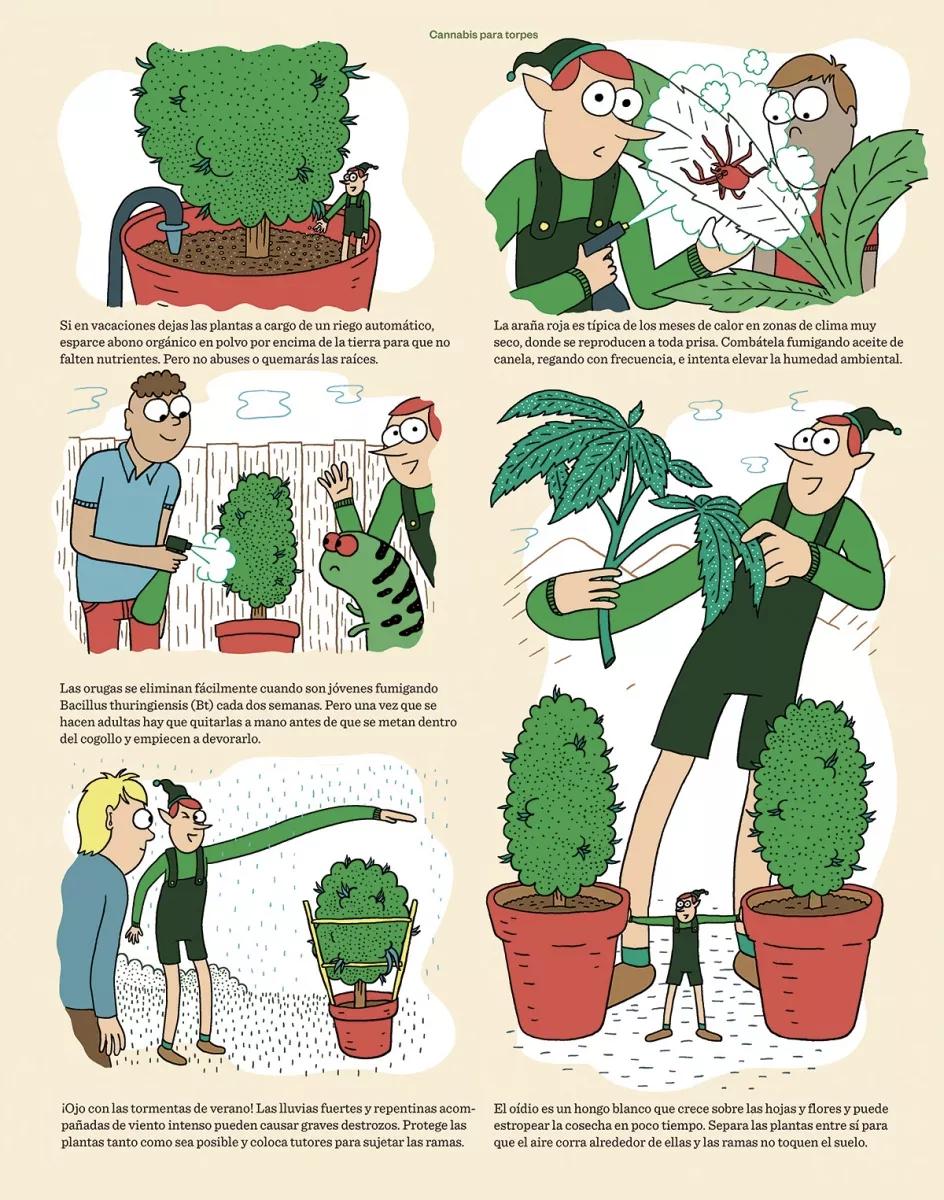 Cannabis para torpes