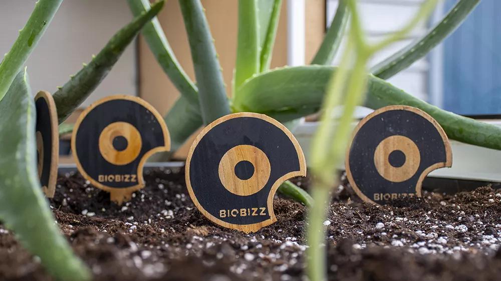 La importancia de elegir un buen sustrato para el cultivo indoor