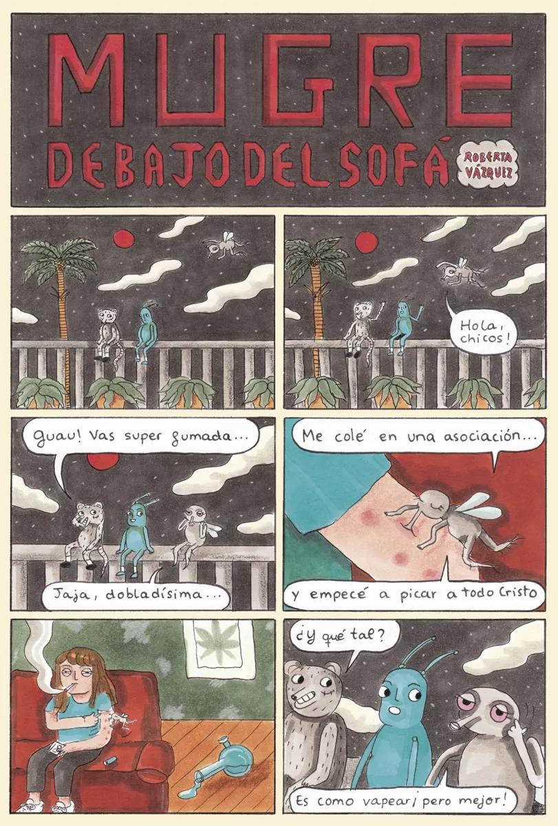Mugre debajo del sofá (10)