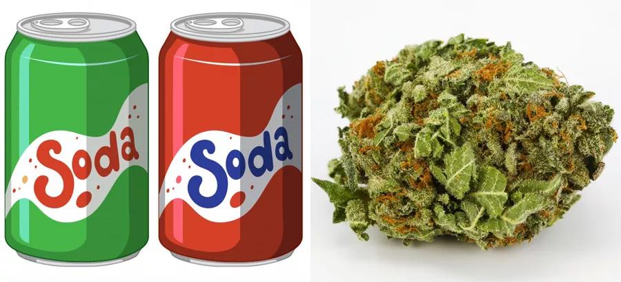 Gaseosa – Candyland