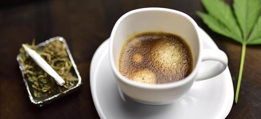 Café – Green Crack