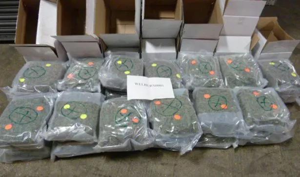 5.8 millones en marihuana escondidos en queso para pizza