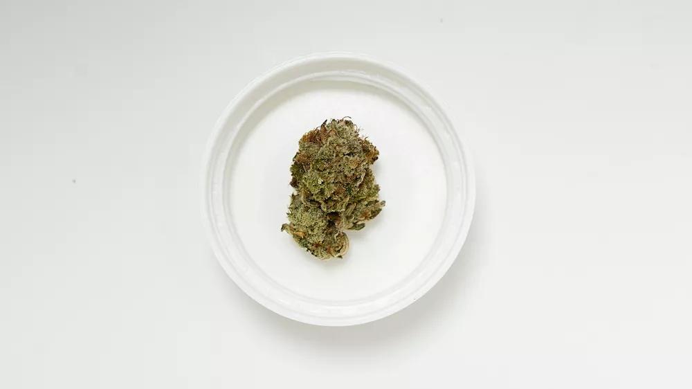 Super Glue by Fiore Cannabis