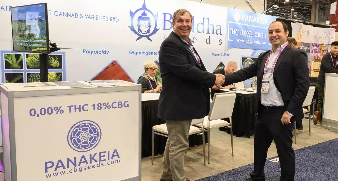 anakeia, la primera variedad de cáñamo sin THC (0,00%) y alto contenido en Cannabigerol CBG (18%) llega a los&nbsp;EEUU de la mano de dos empresas locales.&nbsp;