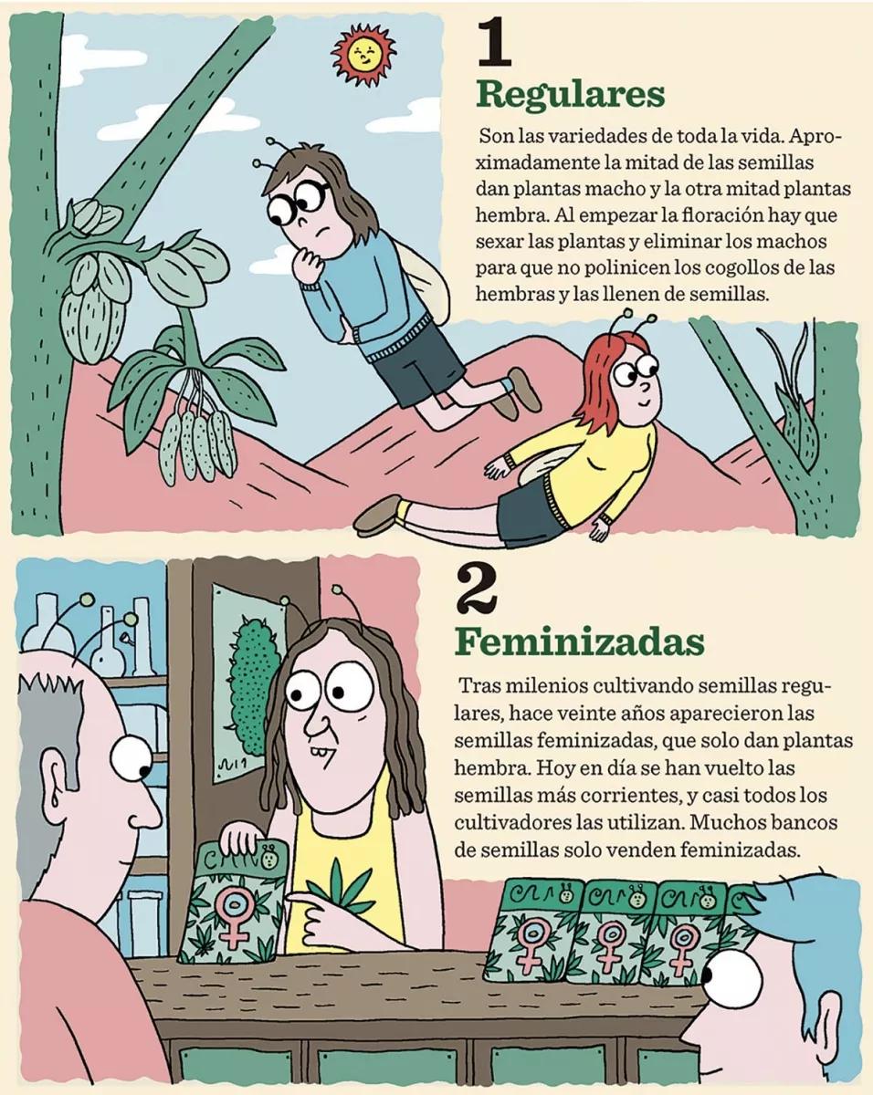 Ilustración: Ocho tipos de semillas 01