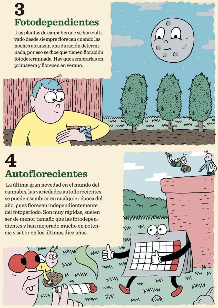 Ilustración: Ocho tipos de semillas 02