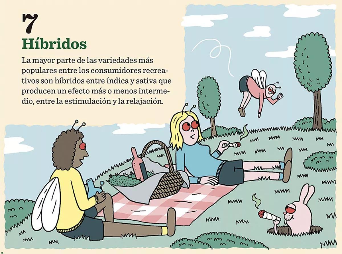 Ilustración: Ocho tipos de semillas 04