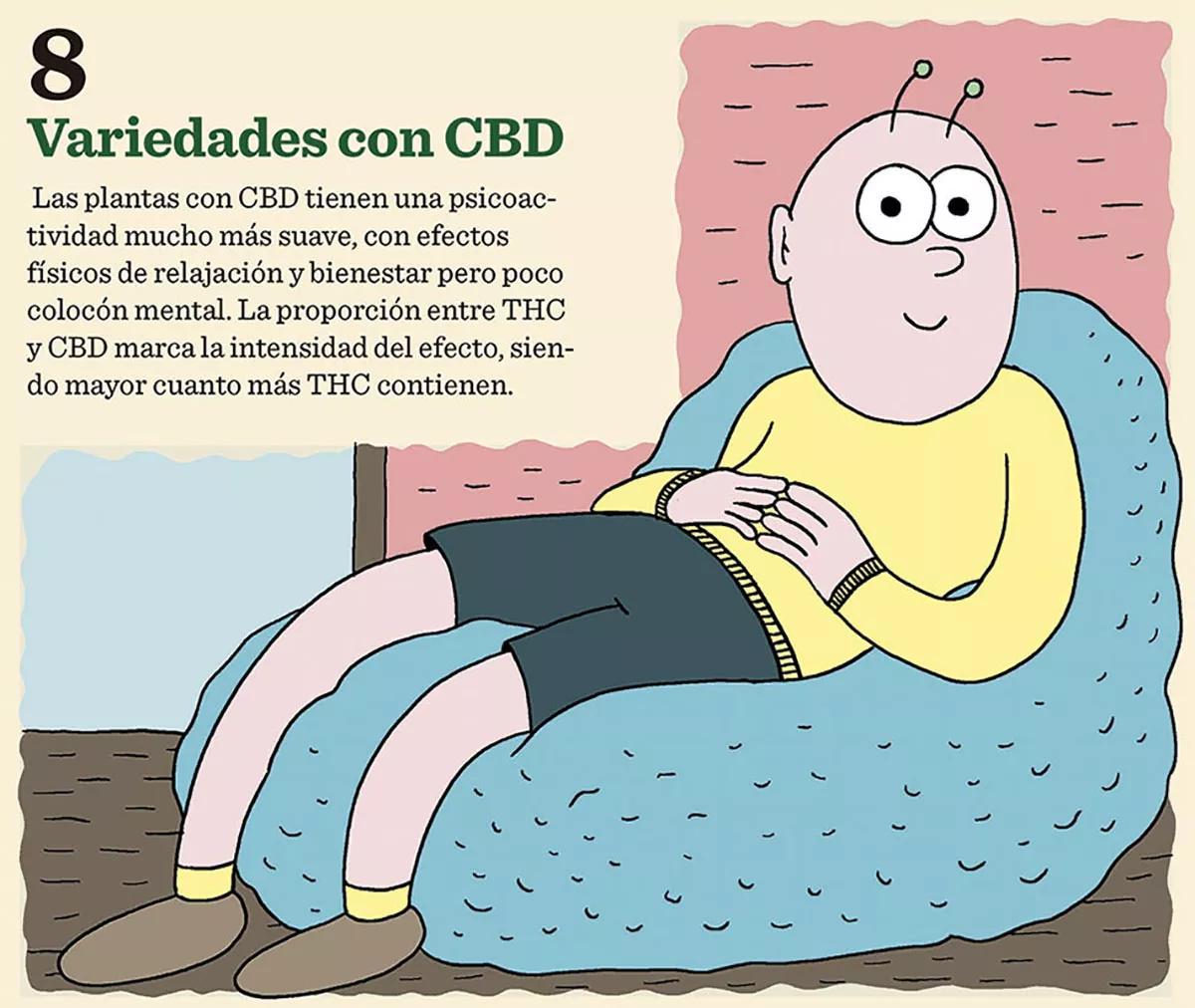 Ilustración: Ocho tipos de semillas 05