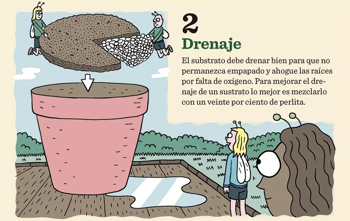 Claves mejor tierra 02