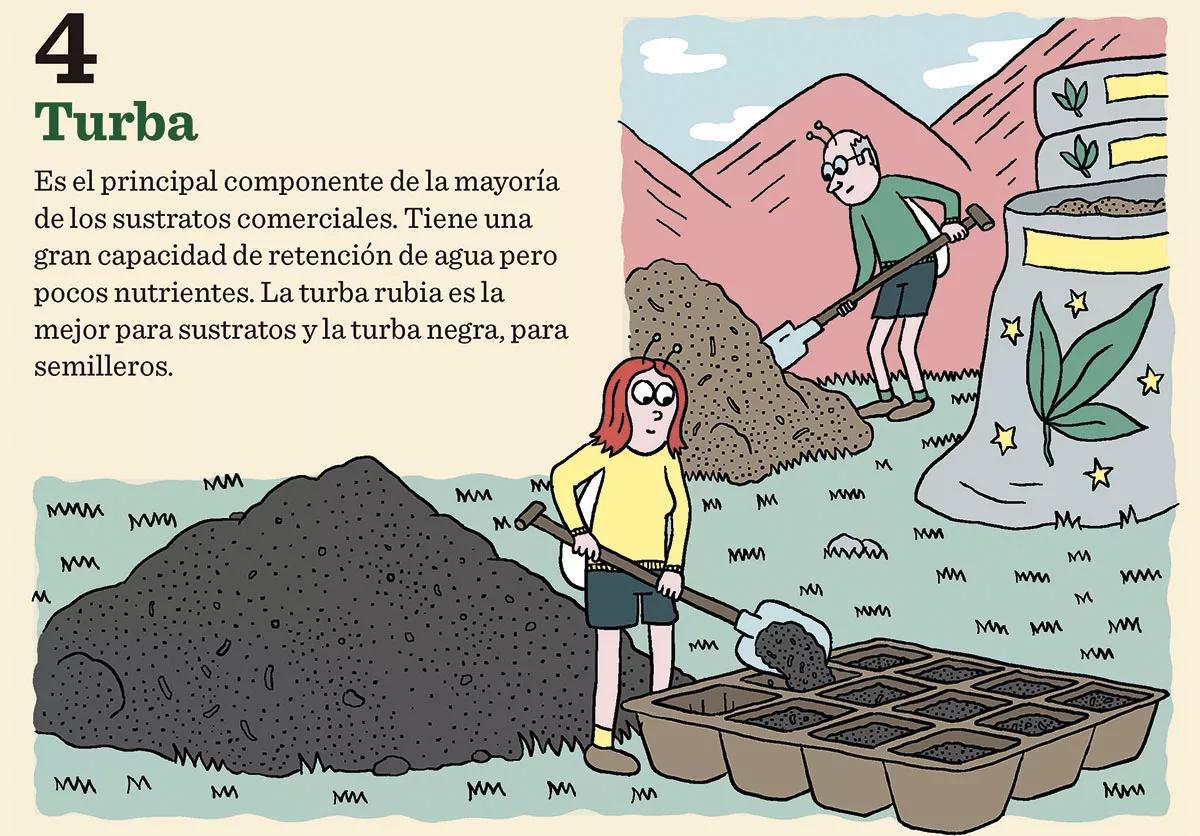 Claves mejor tierra 04