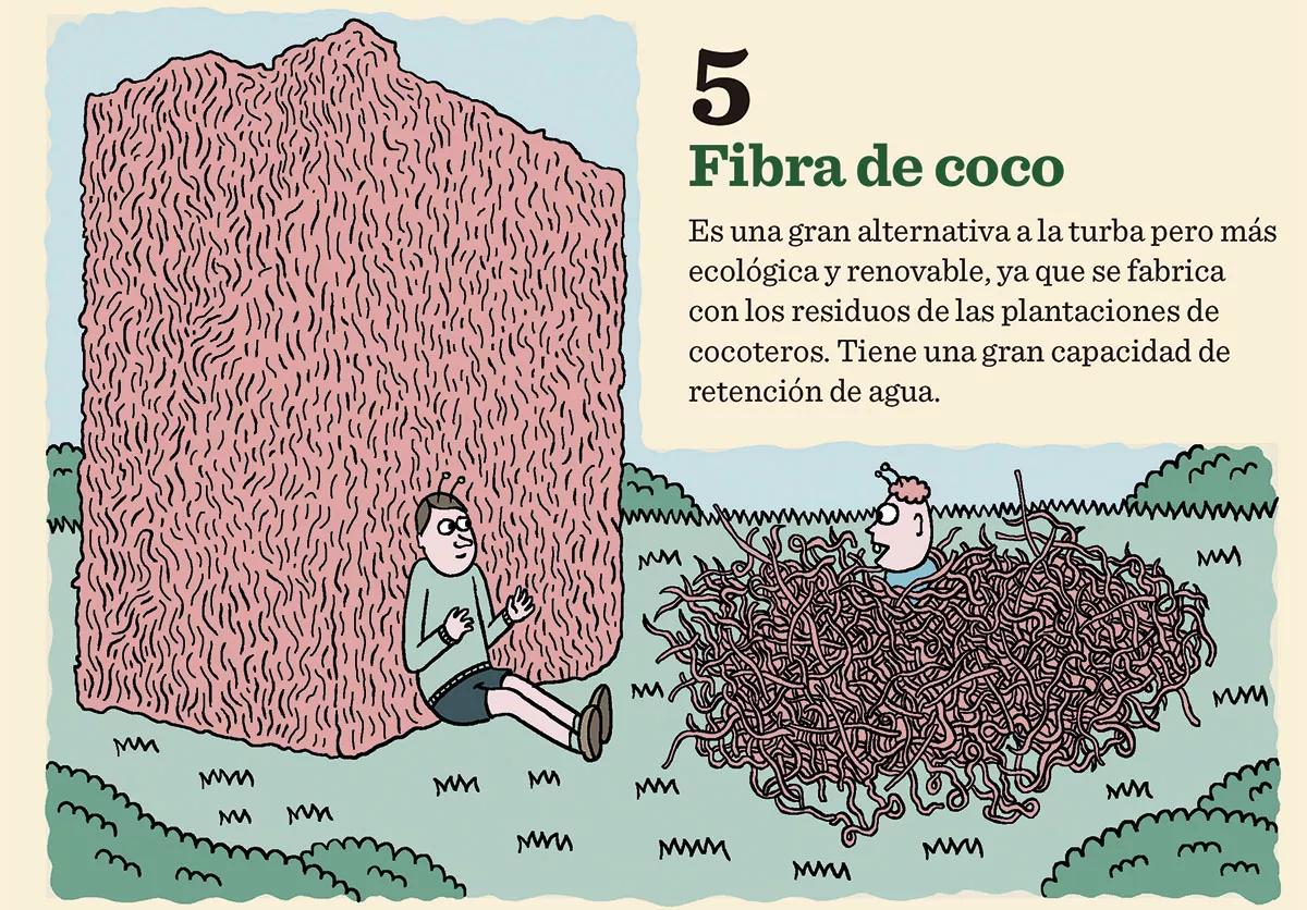 Claves mejor tierra 05