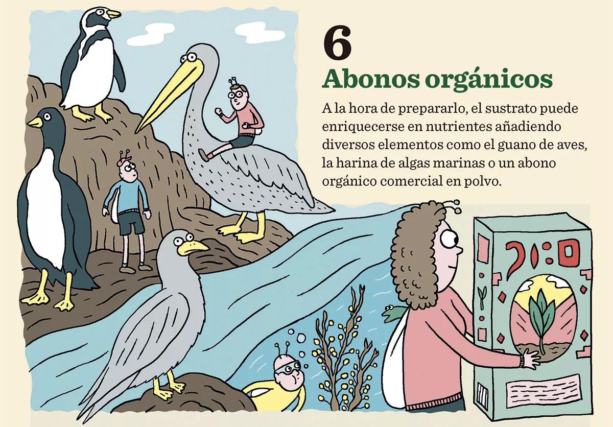 Claves mejor tierra 06