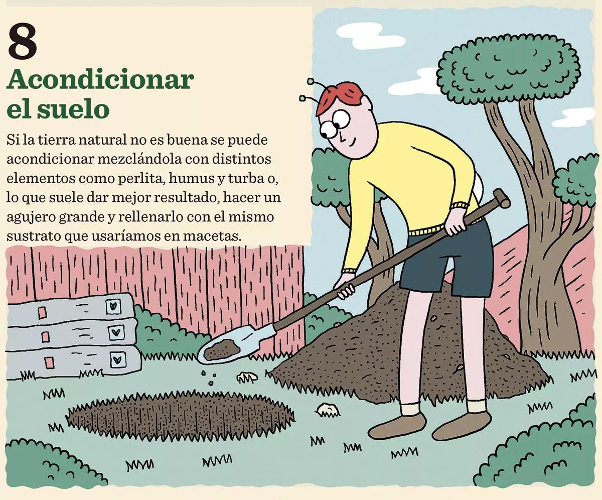 Claves mejor tierra 08