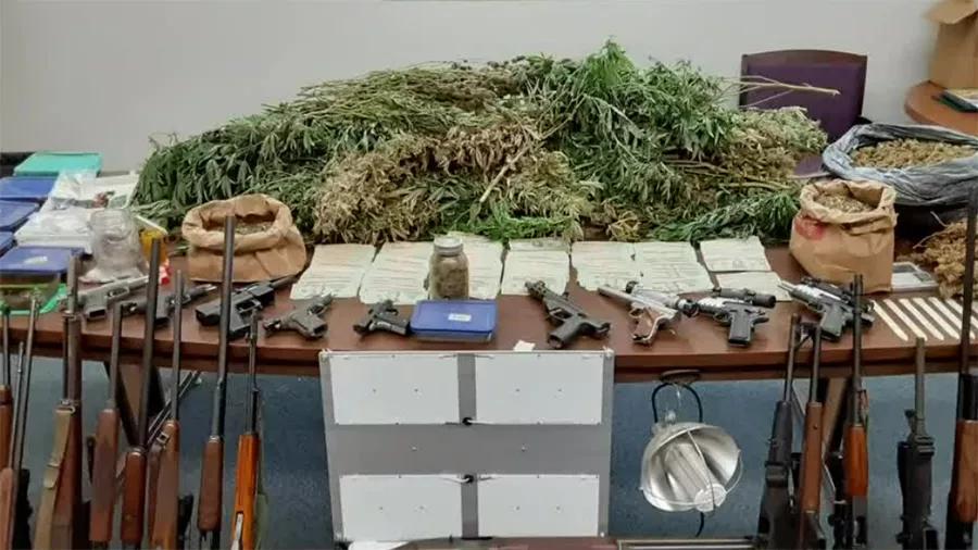 Pillan a una persona después de que diese un tour guiado a la policía por su granja de cannabis