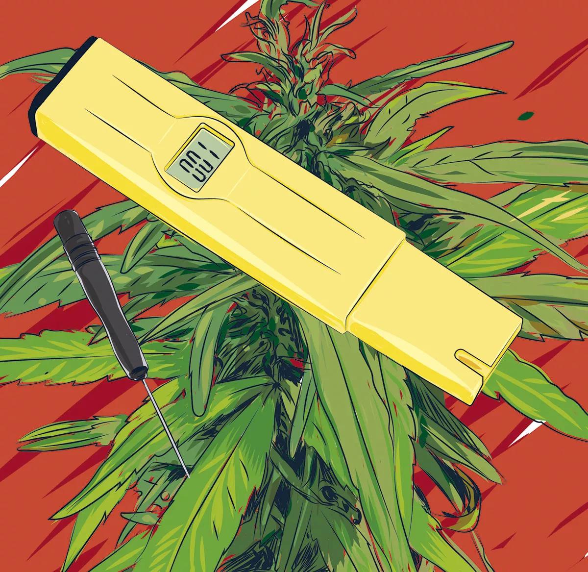 Ilustración: Medidor EC