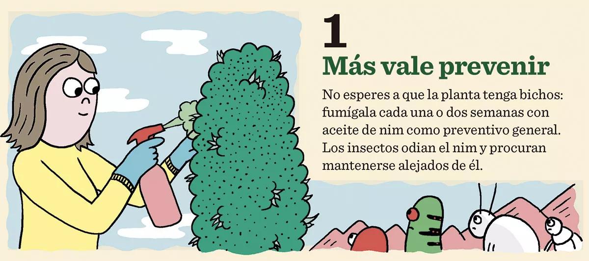 10 consejos para combatir las plagas