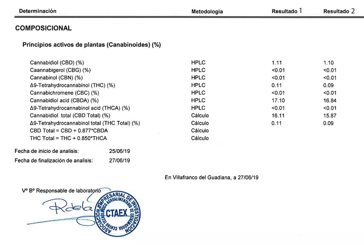 Darbuka CBD semillas de marihuana