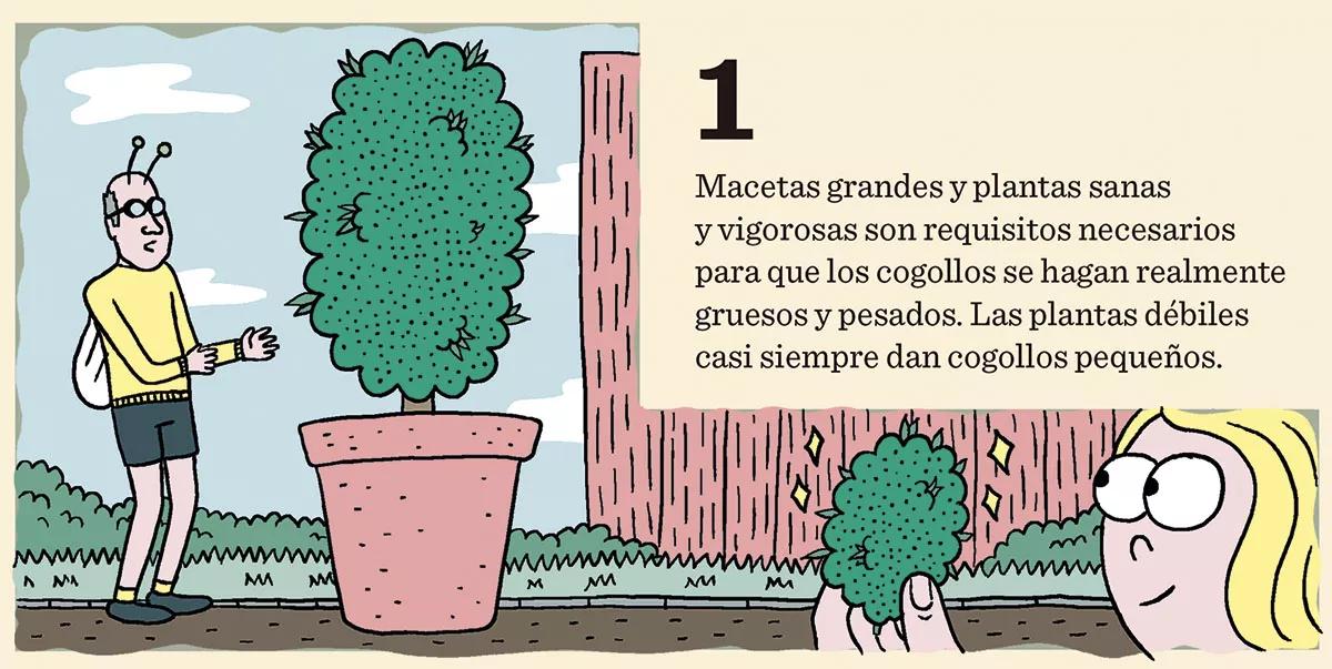 10 trucos para engordar