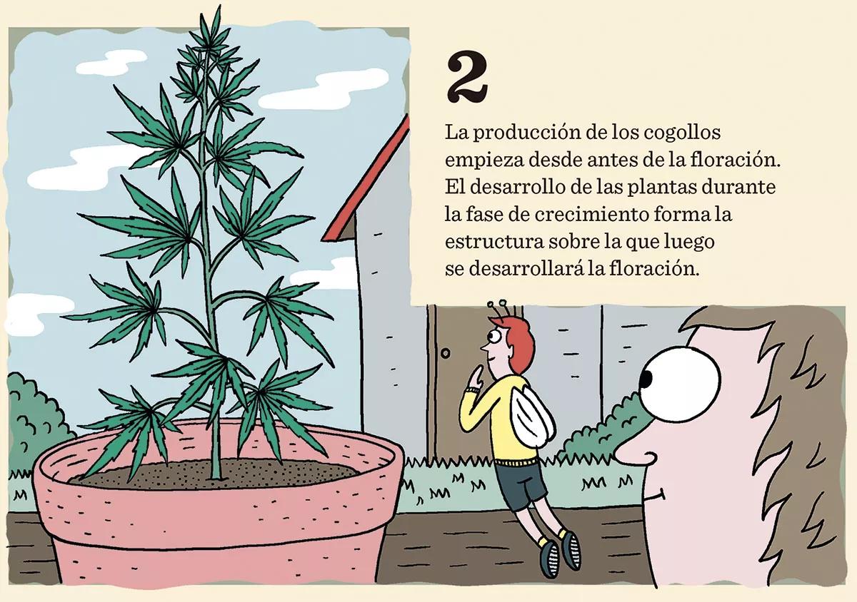 10 trucos para engordar