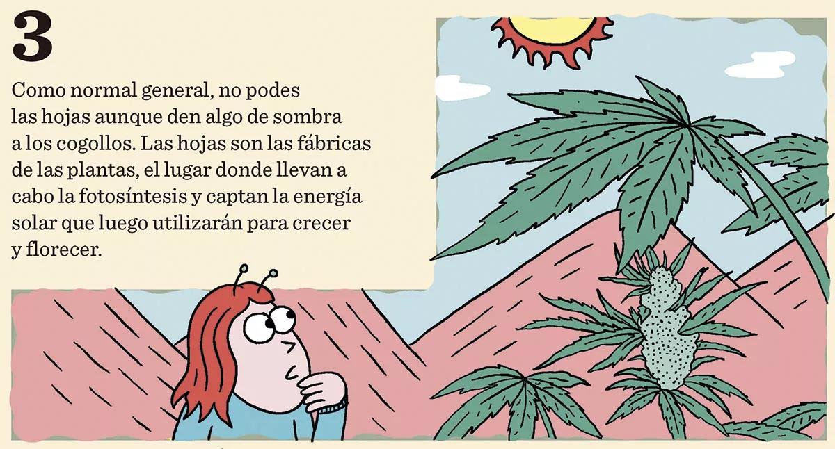 10 trucos para engordar