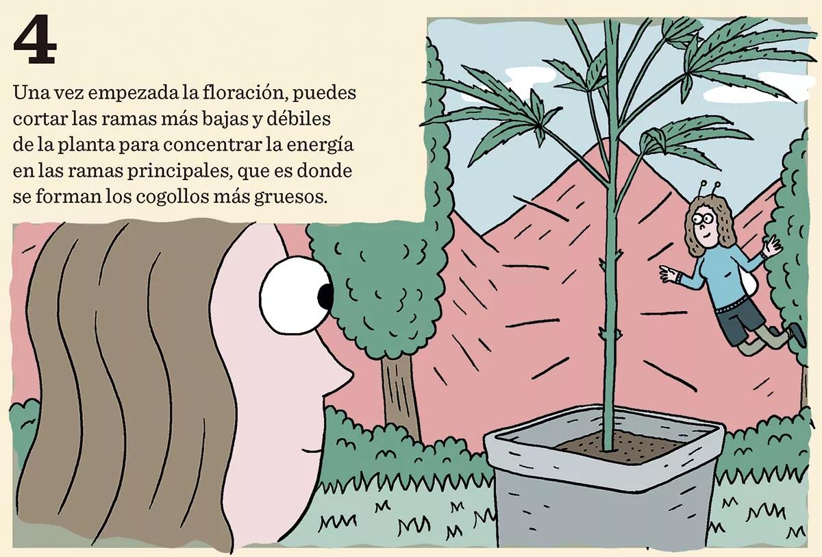 10 trucos para engordar