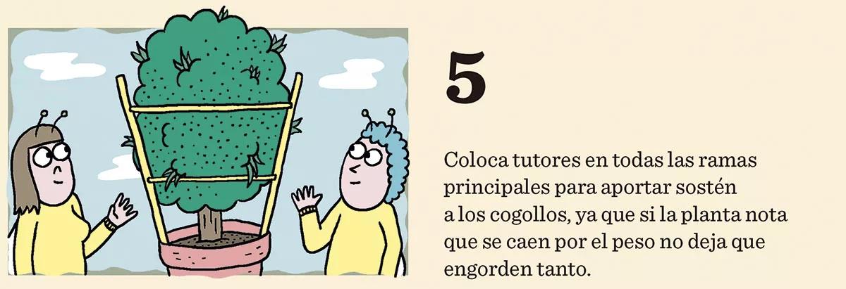 10 trucos para engordar