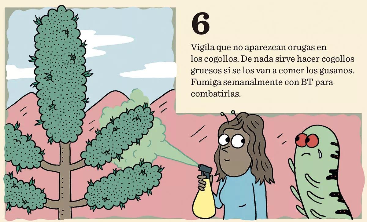 10 trucos para engordar