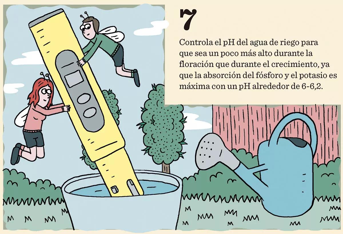 10 trucos para engordar