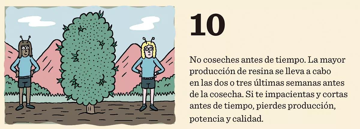 10 trucos para engordar