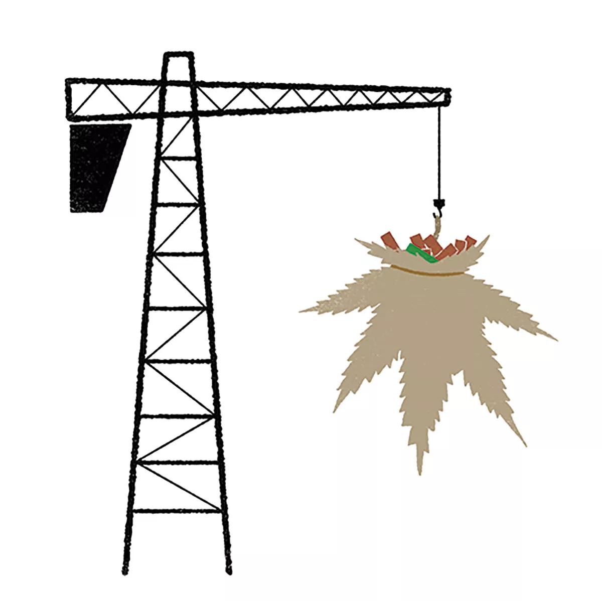 Ilustración: economía cannábica