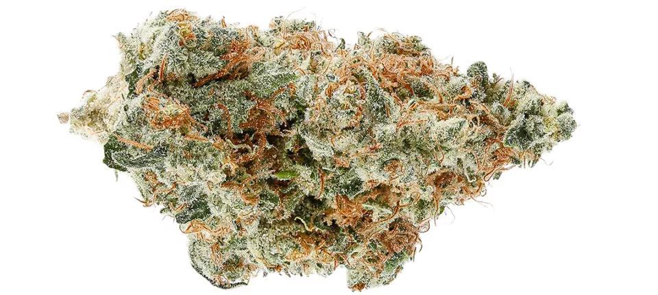 Florida Orange by Revolution Cannabis