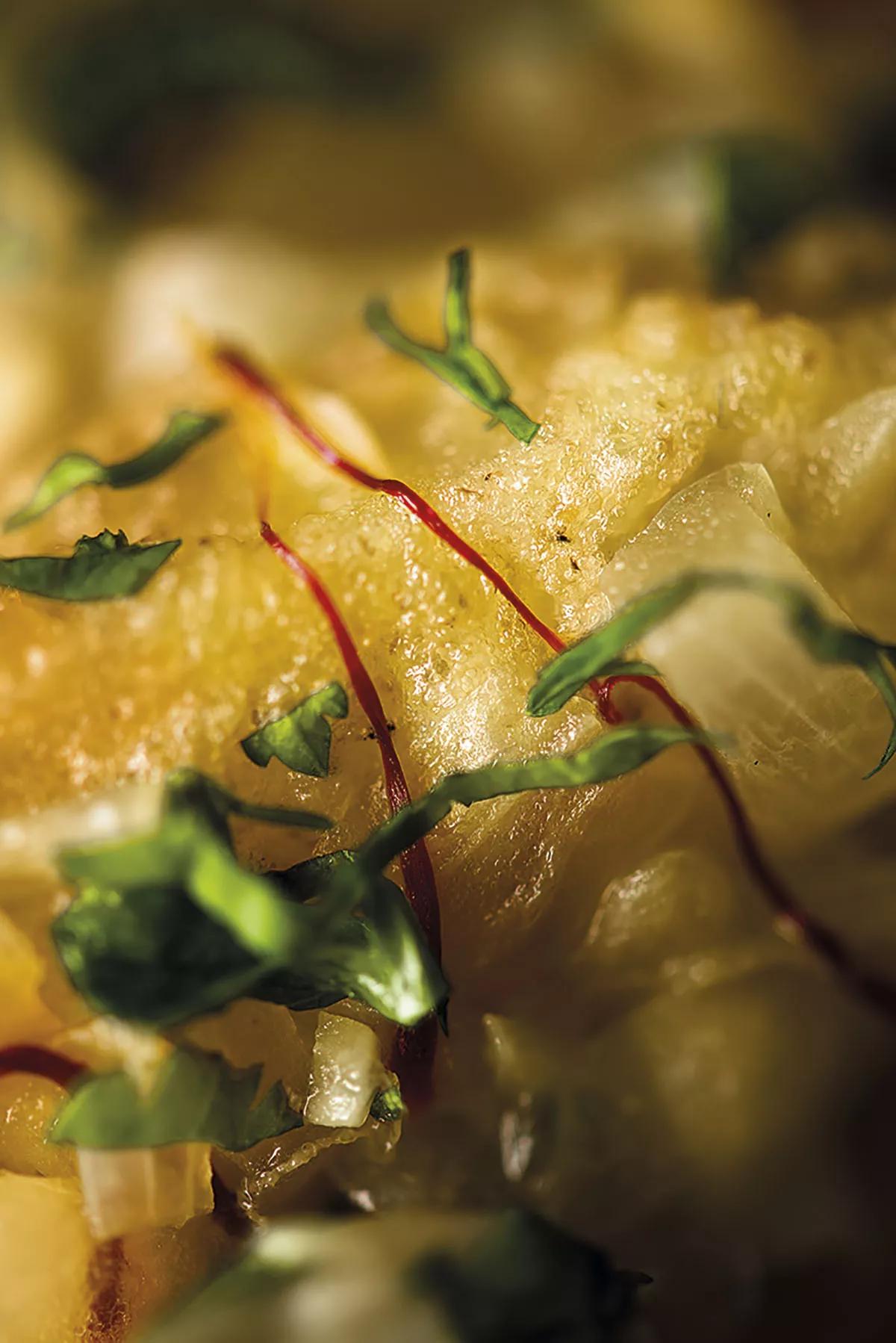 Para darle la importancia y algo más a estas deliciosas patatas, hemos elegido la variedad Kraken de Budha Seeds que regalamos con la revista en mayo del pasado año. Esta maravilla es ideal para los que quieren altas cotas de producción y máxima rentabilidad en sus cultivos. Es de predominancia índica y famosa por la potencia y duración de sus efectos, de ahí su nombre. Y nos dejará en un estado de relax supremo y duradero. Produce grandes cogollos cargaditos de resina. Sus aromas y sabores son cítricos y f