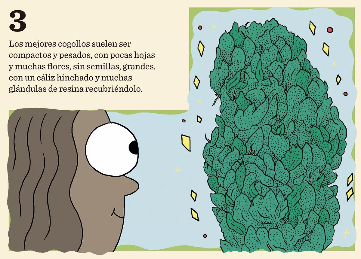 Ocho pasos para una cata 03