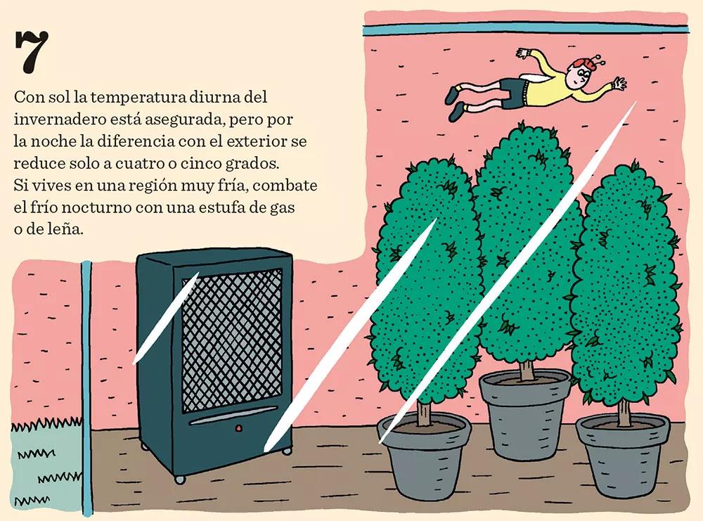 Ocho pasos para tener un cultivo invernal
