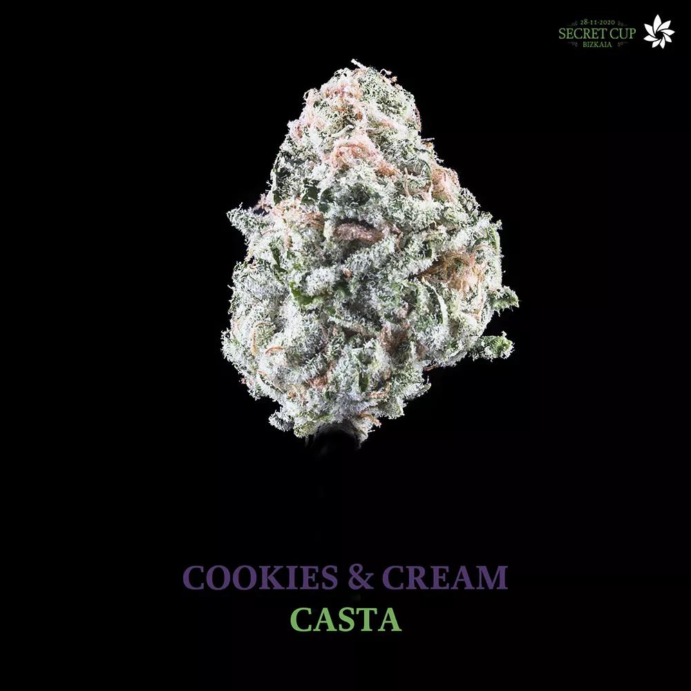 EXTERIOR INDICA 1º CASTA