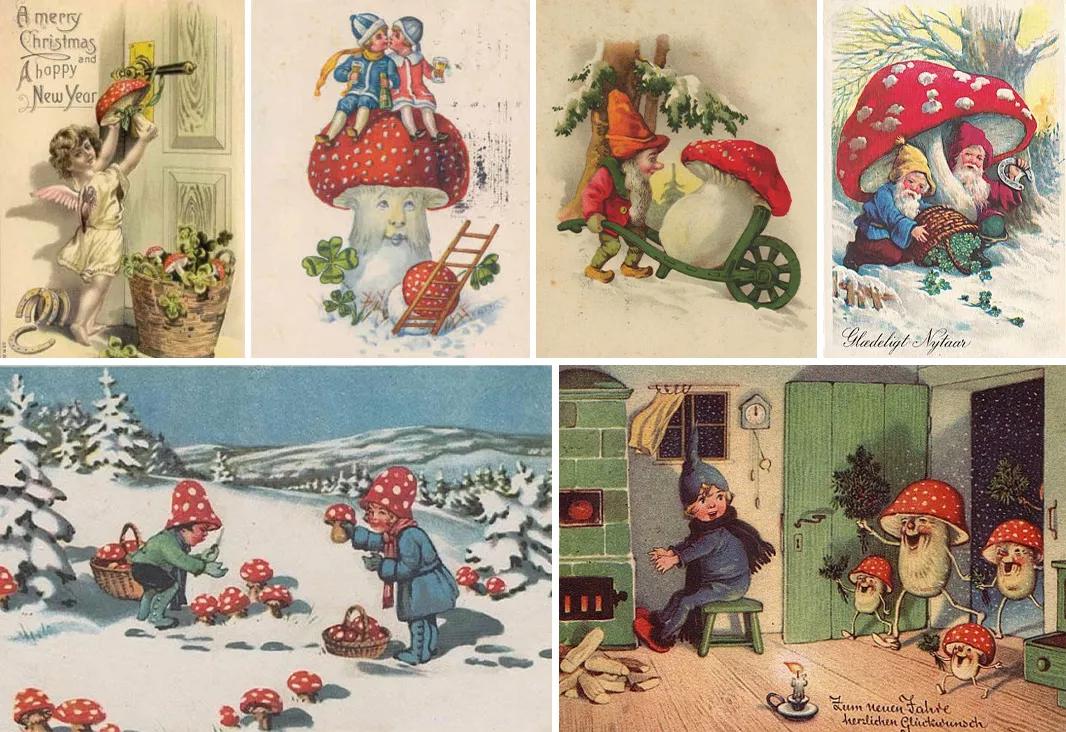 amanita muscaria santa claus