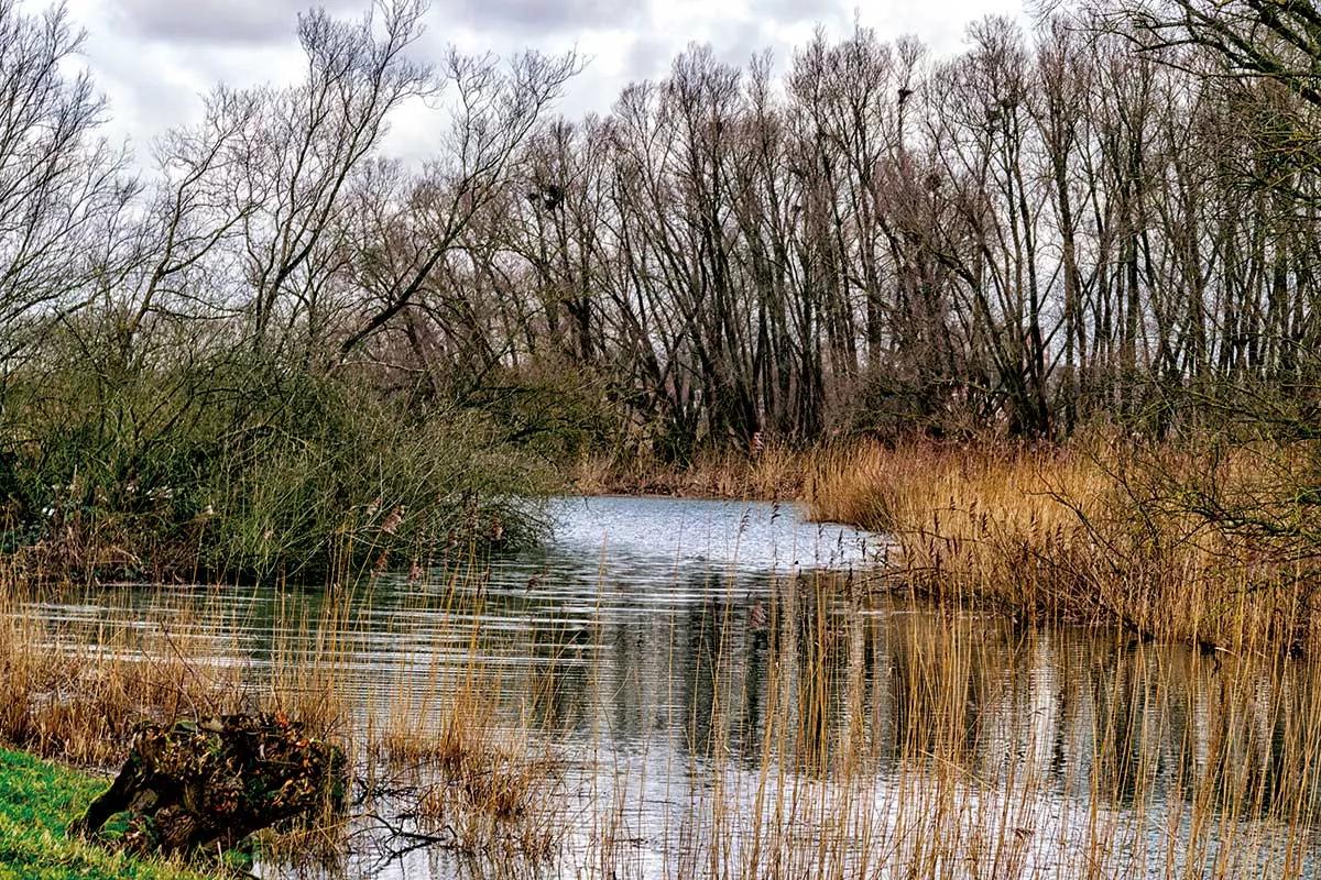 Río en Willow Creek.