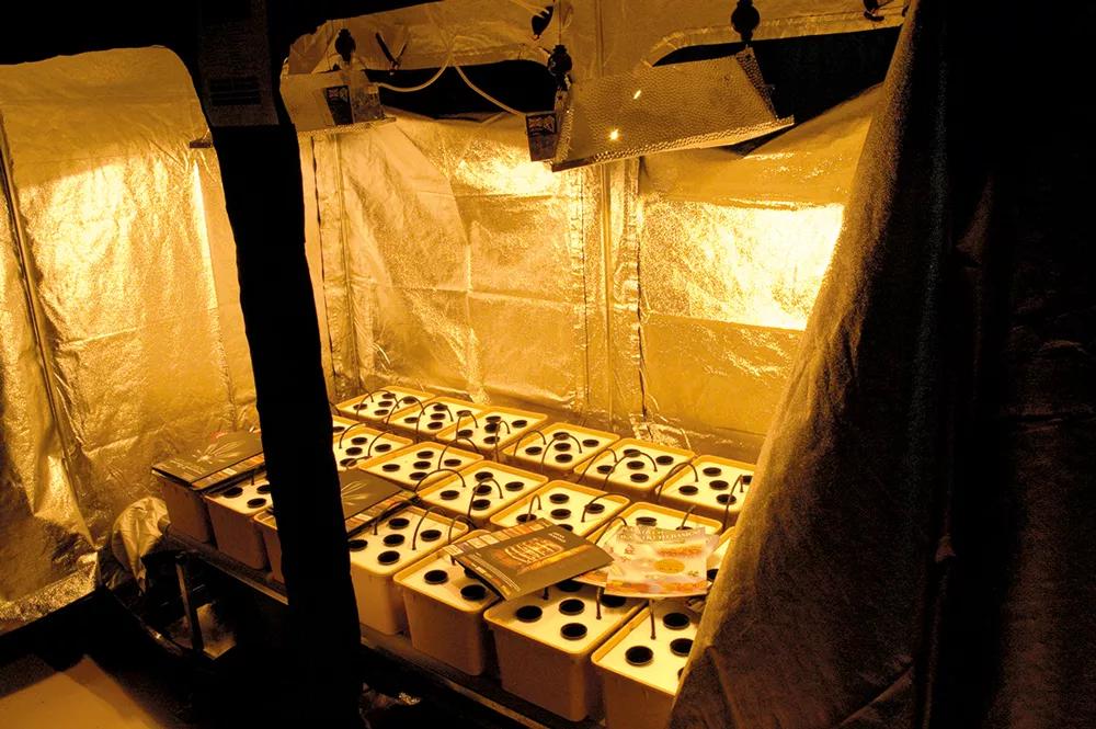 Los armarios de cultivo están diseñados para que no escape nada de luz y son una buena solución para lograr discreción