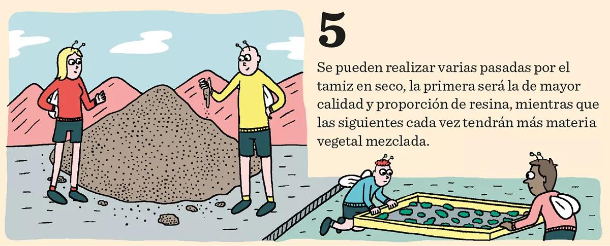 Hachís, Ice, BHO y otros extractos cannábicos 