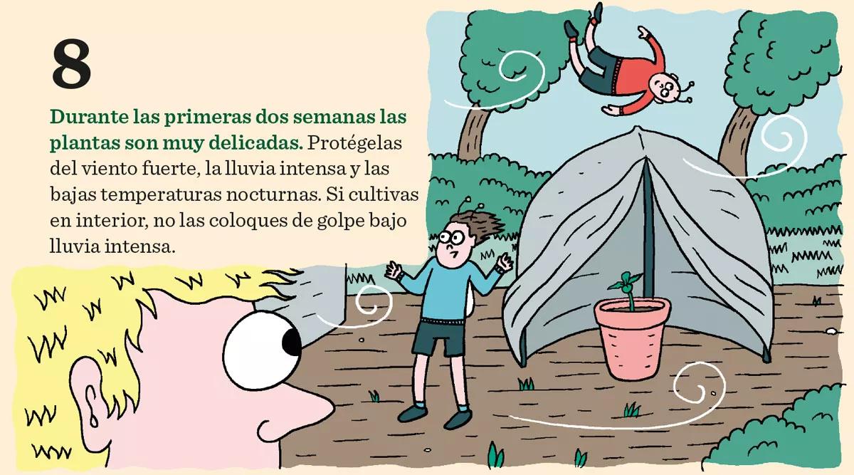 Diez consejos para la germinación y el primer crecimiento 