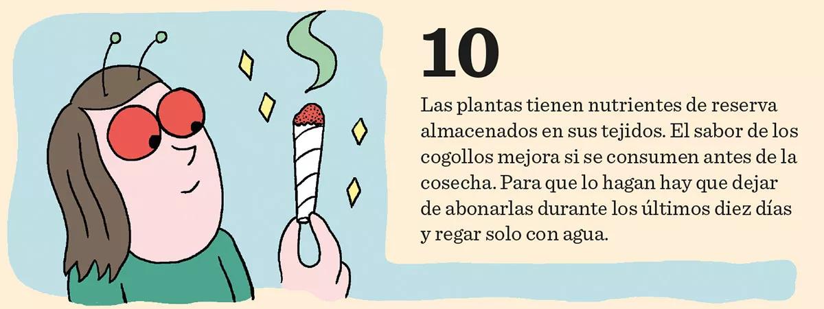 Los diez pasos básicos para la primera cosecha 