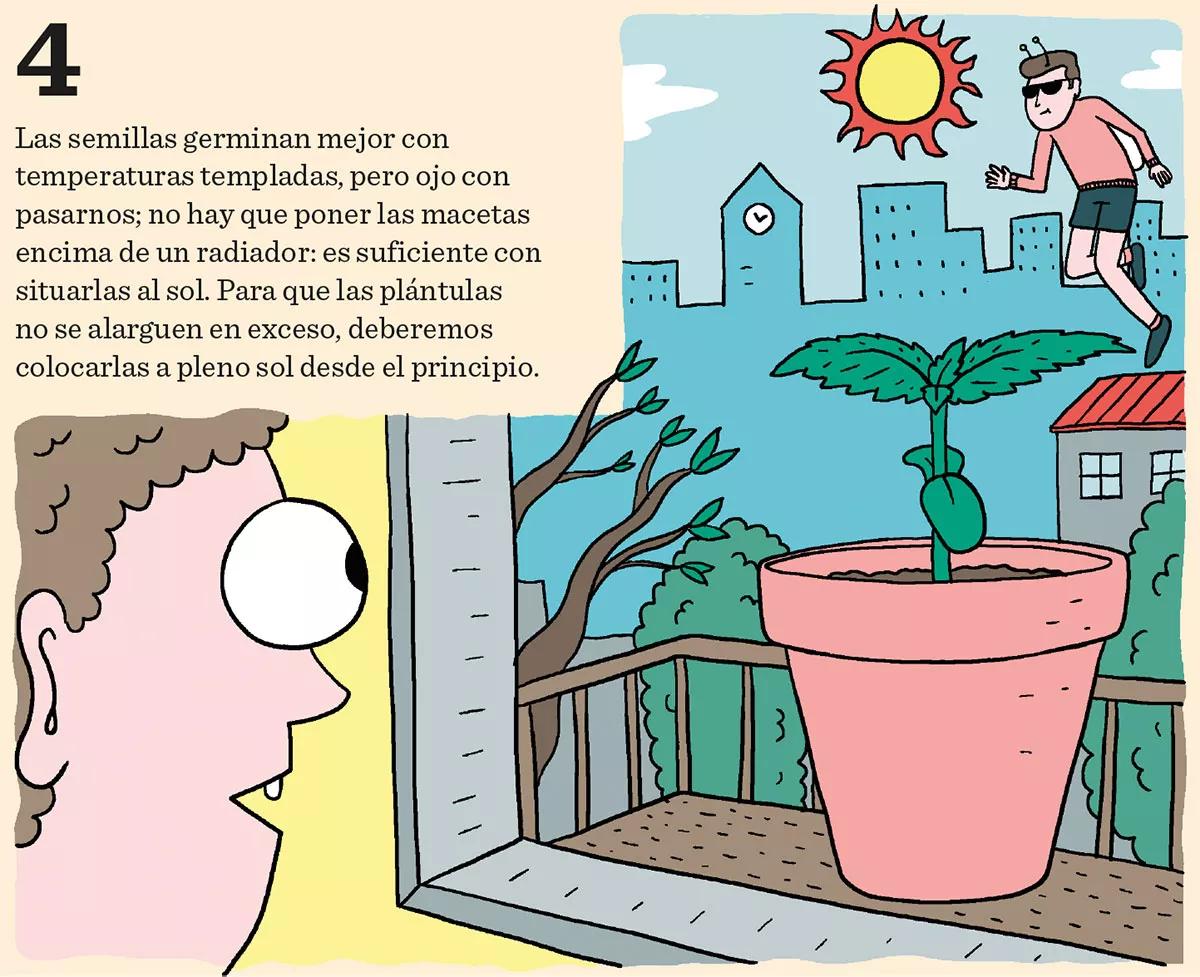 Los diez pasos básicos para la primera cosecha 