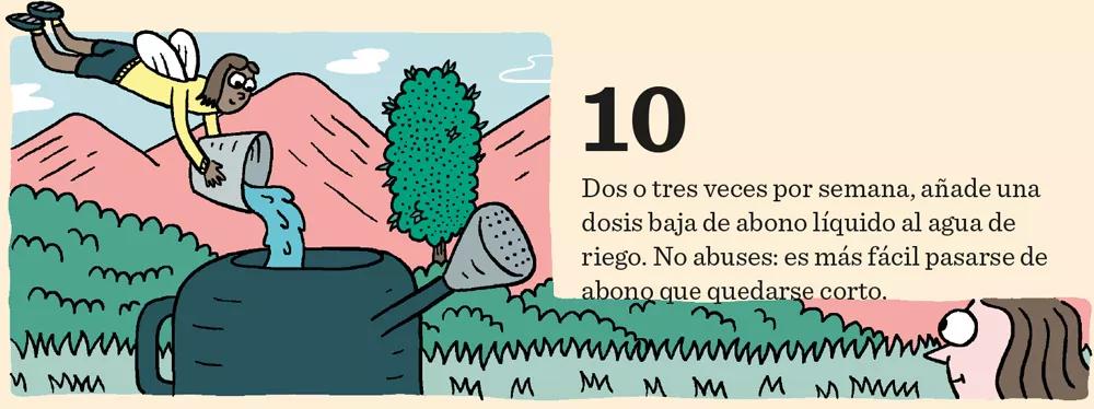Once consejos para el crecimiento