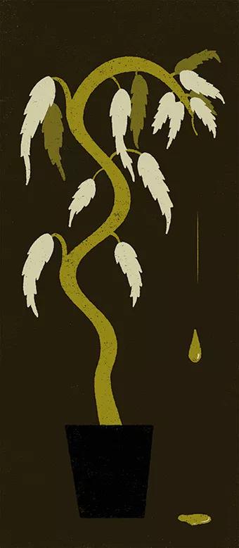 ¿Hay futuro? Por Alessandro Oria 