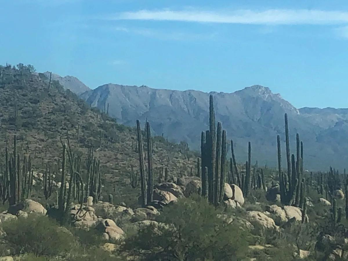Esta foto la tomé desde el coche, bajo los efectos de una mota potente, maravillado por el alucinante paisaje carretero semidesértico de Baja California y Baja California Sur.