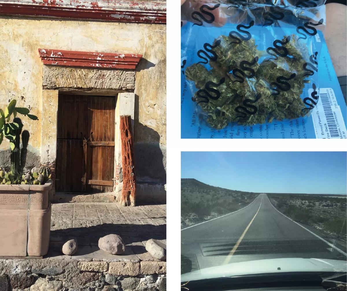 Baja California Sur es un lugar mágico y surrealista, una región semidesértica de volcanes, lagunas y cactus, en cuyo mar  se pueden ver ballenas y peces mágicos. La bolsita con la mota que conseguí estaba decorada con serpientes de cascabel.