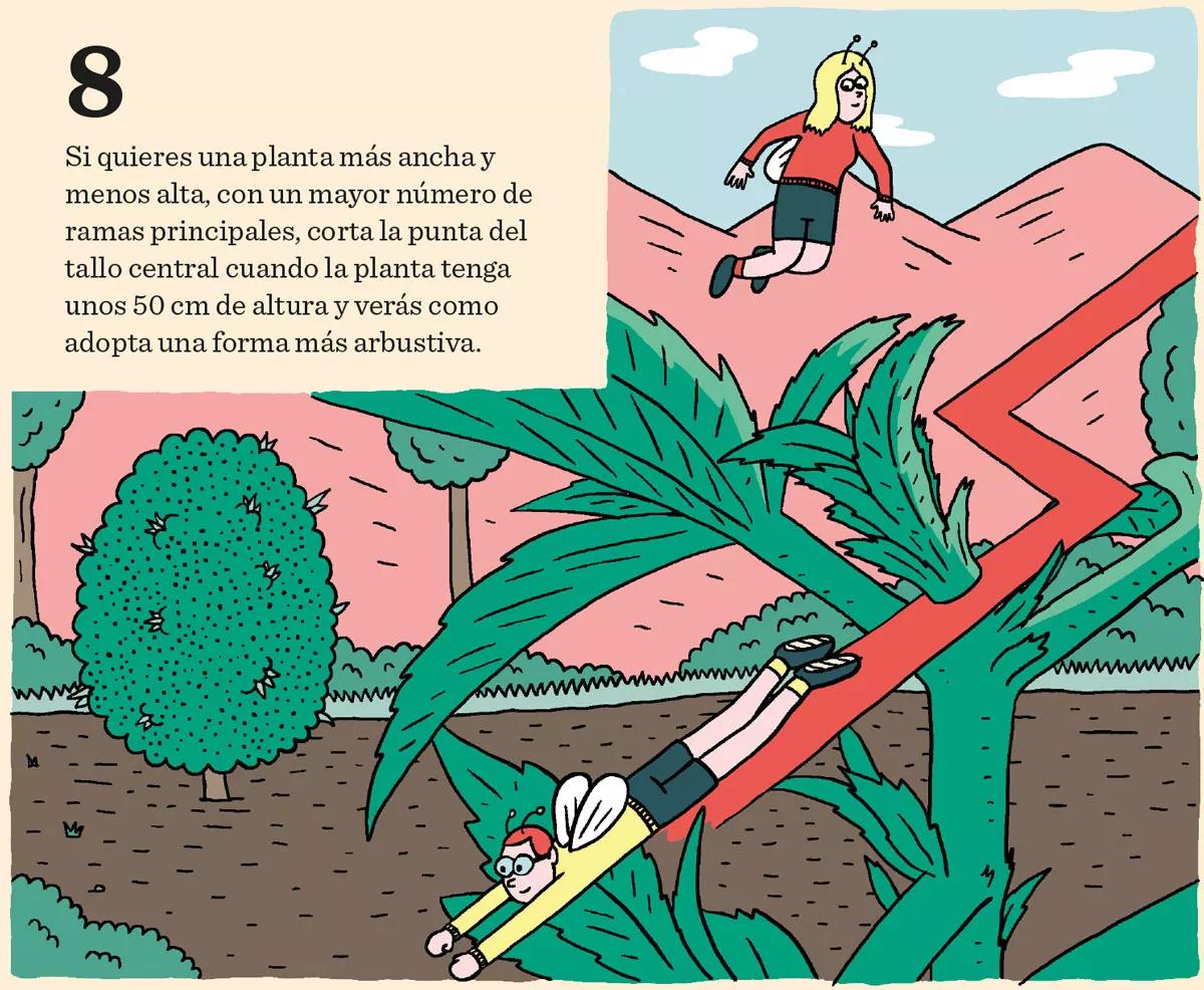 Fase vegetativa del cannabis: diez claves esenciales para el crecimiento 