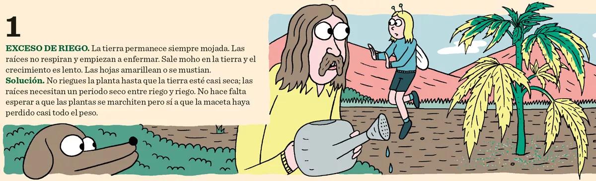 Los seis problemas más comunes del cultivo y sus soluciones