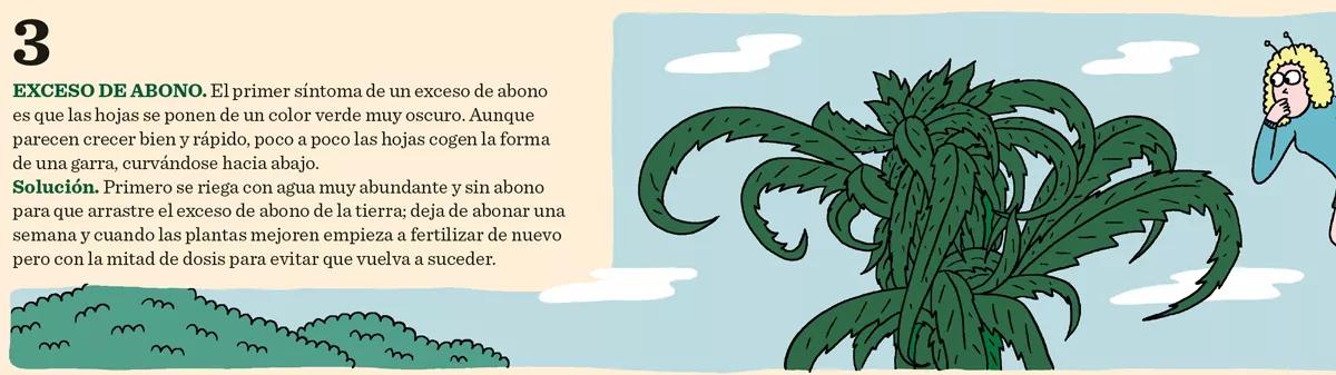 Los seis problemas más comunes del cultivo y sus soluciones